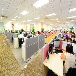 深圳海邦國際物流供應(yīng)鏈有限責(zé)任公司