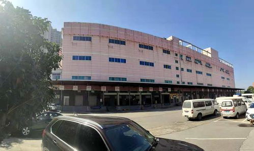 國內(nèi)最大醫(yī)藥食品物流中心長沙國際物流交博會上受青睞