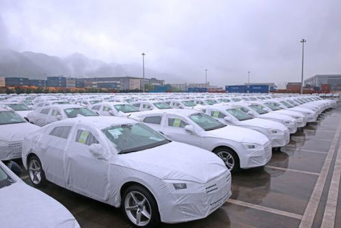 通道帶貿易 金融促發展,重慶國際物流樞紐園區展現內陸開放 新勢能